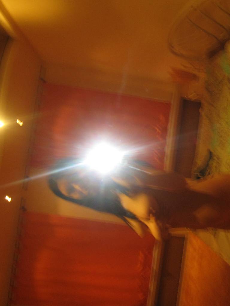 Photo de Arisu